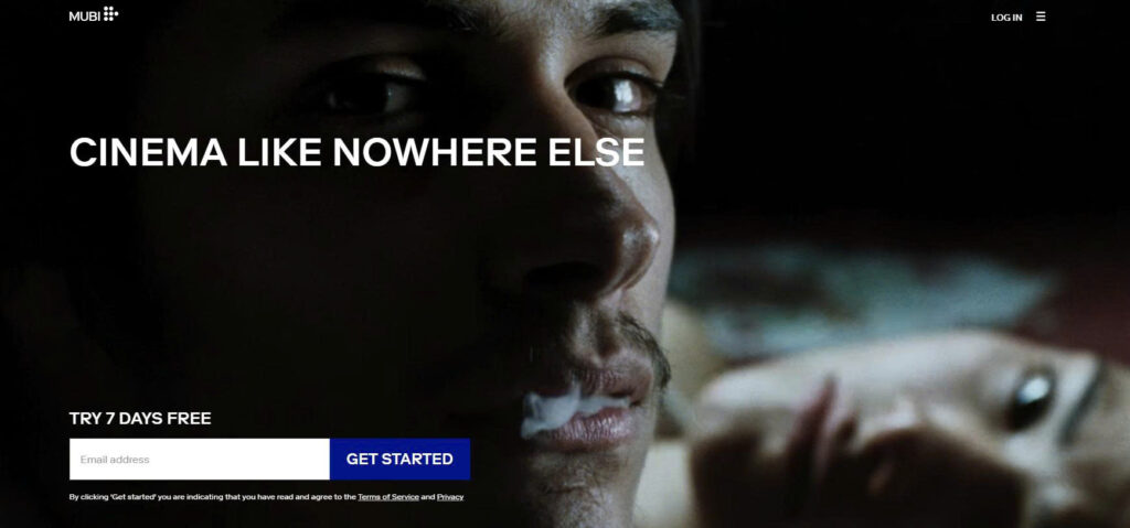 Specialized Film Services Offering Independent and Art-House Movies That Are Difficult to Find on General OTT Platforms